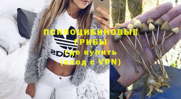 каннабис Алексеевка